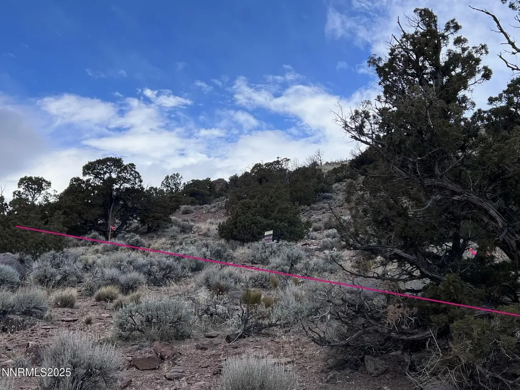 1505 Appian Reno NV 89510
