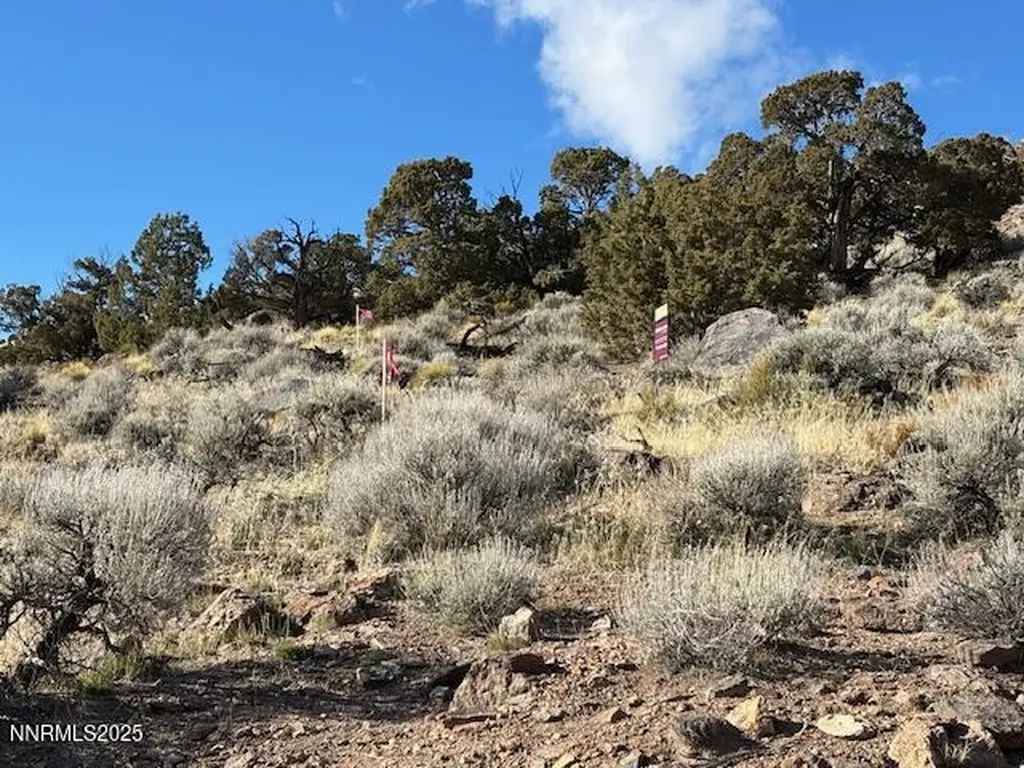 1505 Appian Reno NV 89510