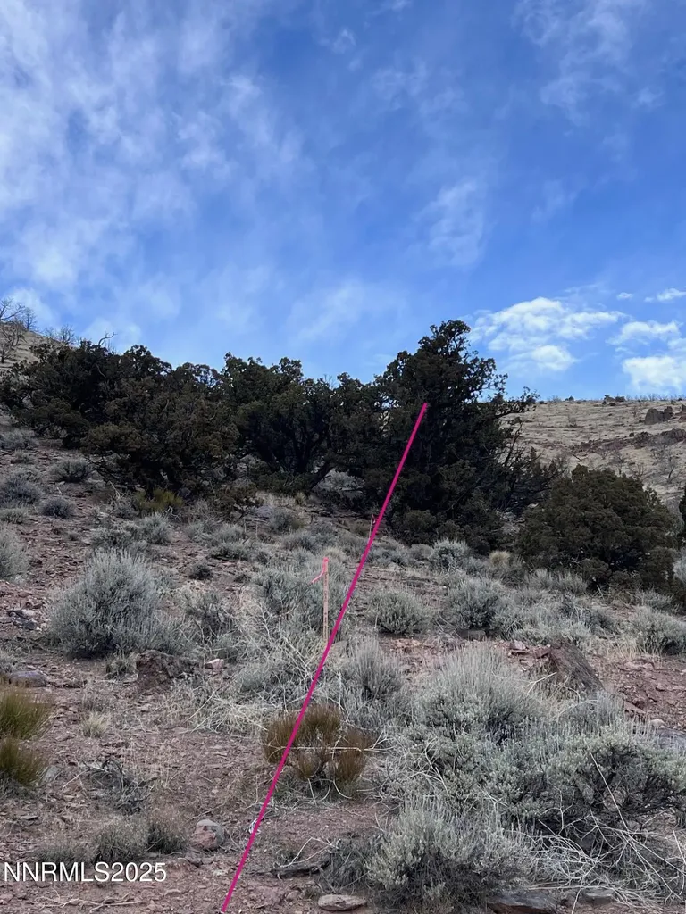 1505 Appian Reno NV 89510