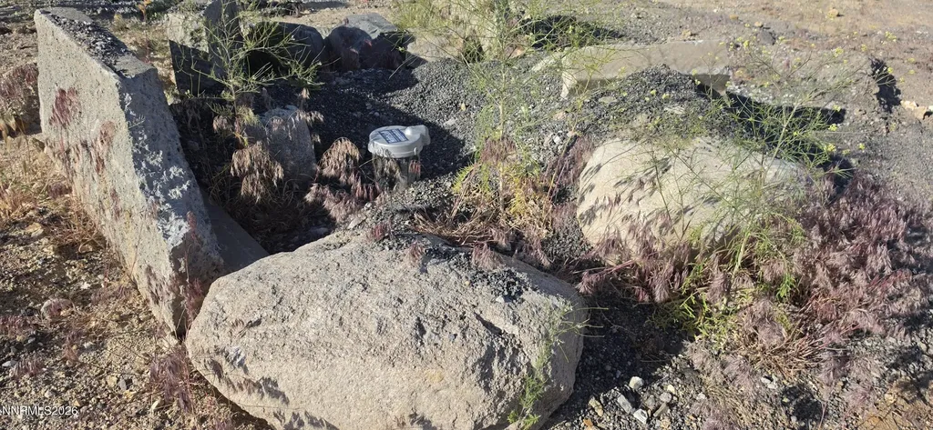558 Quartz Sun Valley NV 89433