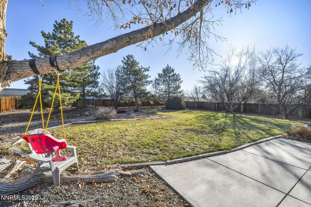2639 Wildrye Minden NV 89423