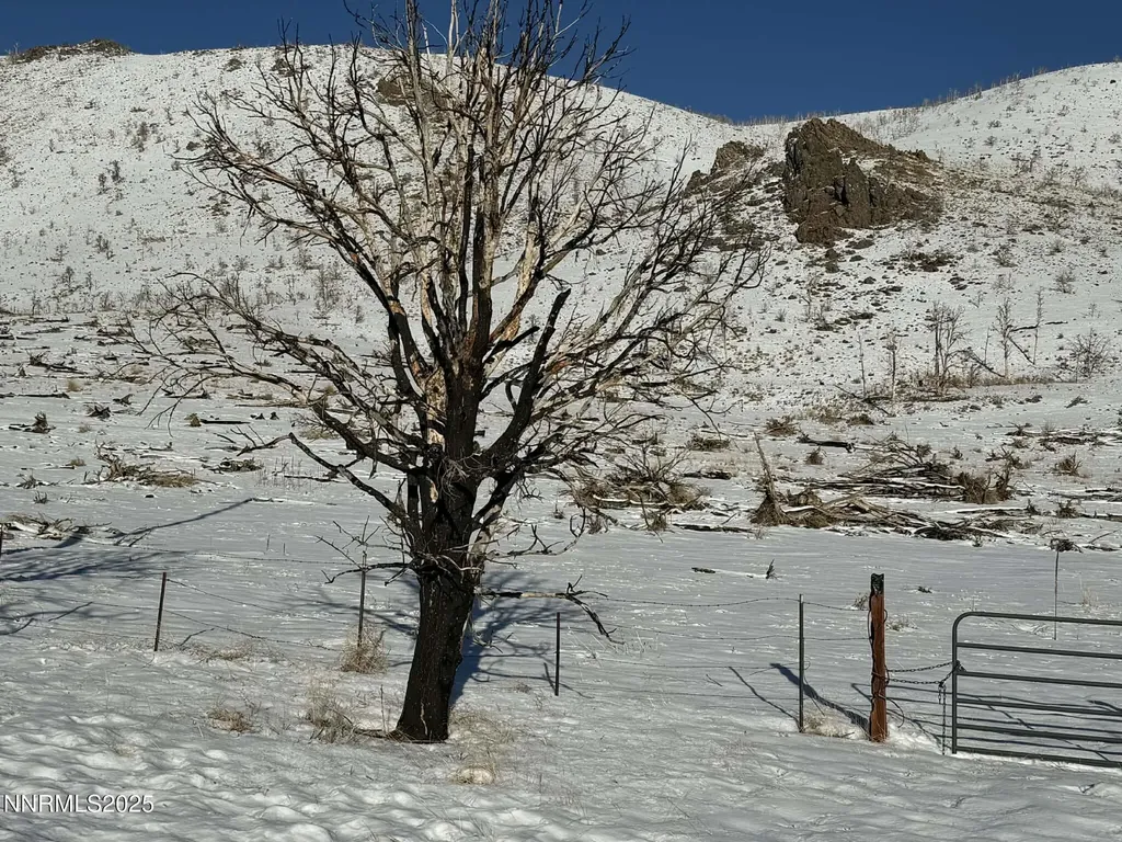 Tbd Highway 395 Gardnerville NV 89410