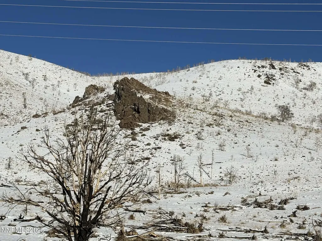 Tbd Highway 395 Gardnerville NV 89410