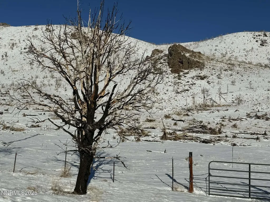 Tbd Highway 395 Gardnerville NV 89410