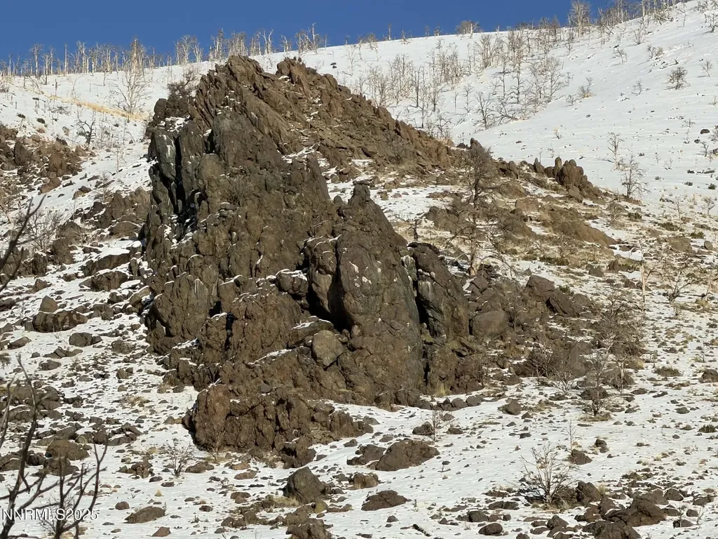 Tbd Highway 395 Gardnerville NV 89410