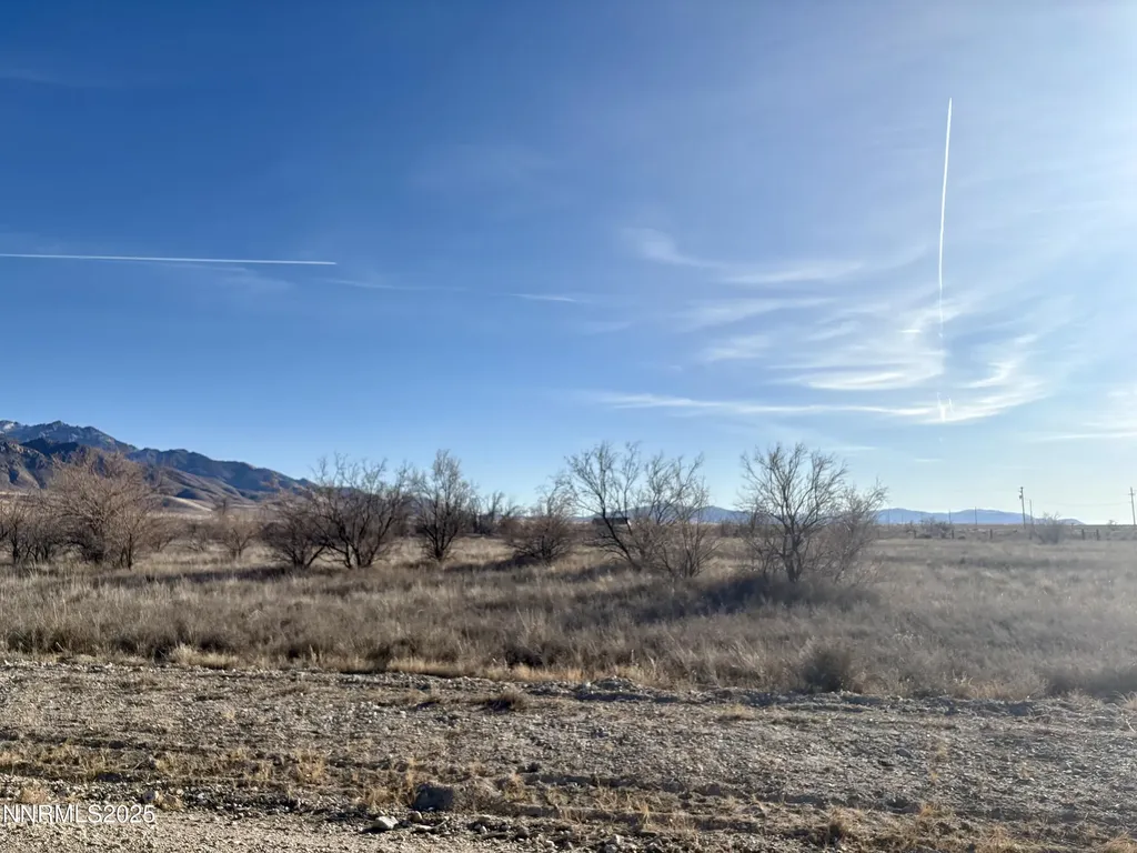 22000 Summerview Lovelock NV 89419