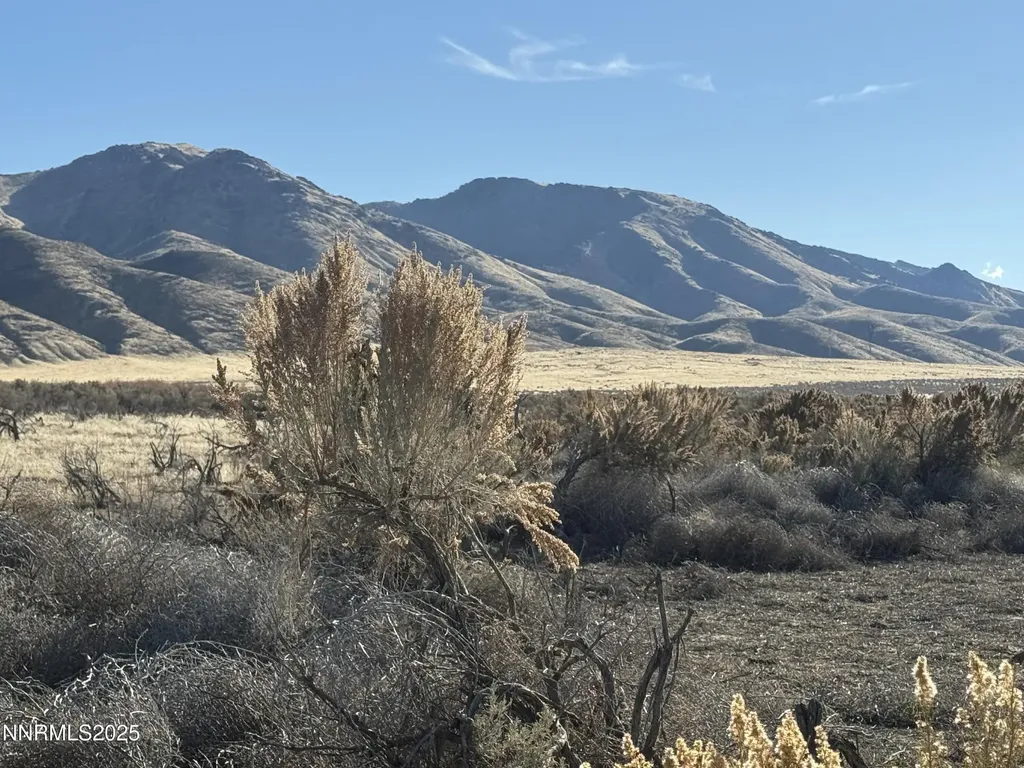 01111015 Well Road Lovelock NV 89419