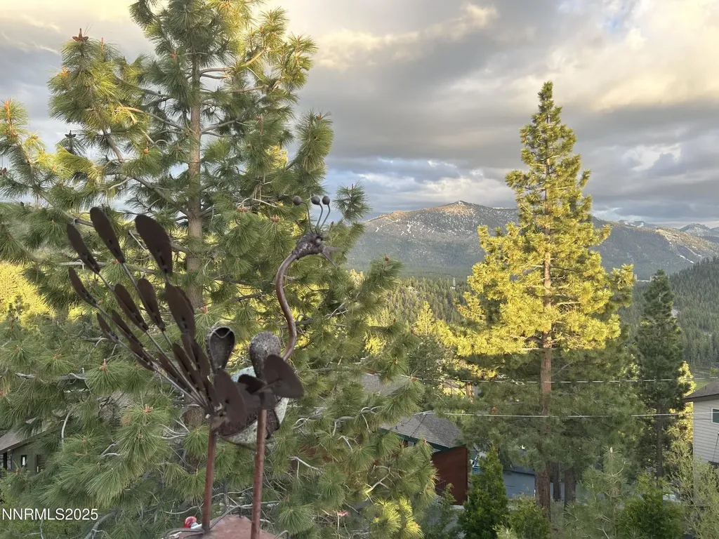 664 Lookout Zephyr Cove NV 89448