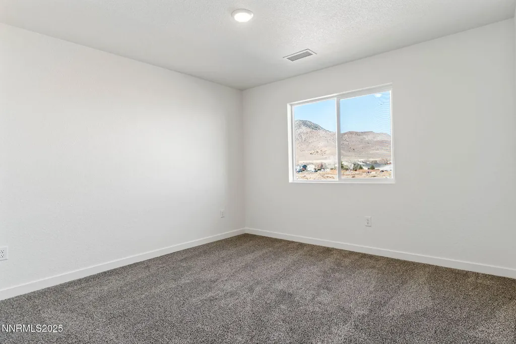 343 Halite Dayton NV 89403