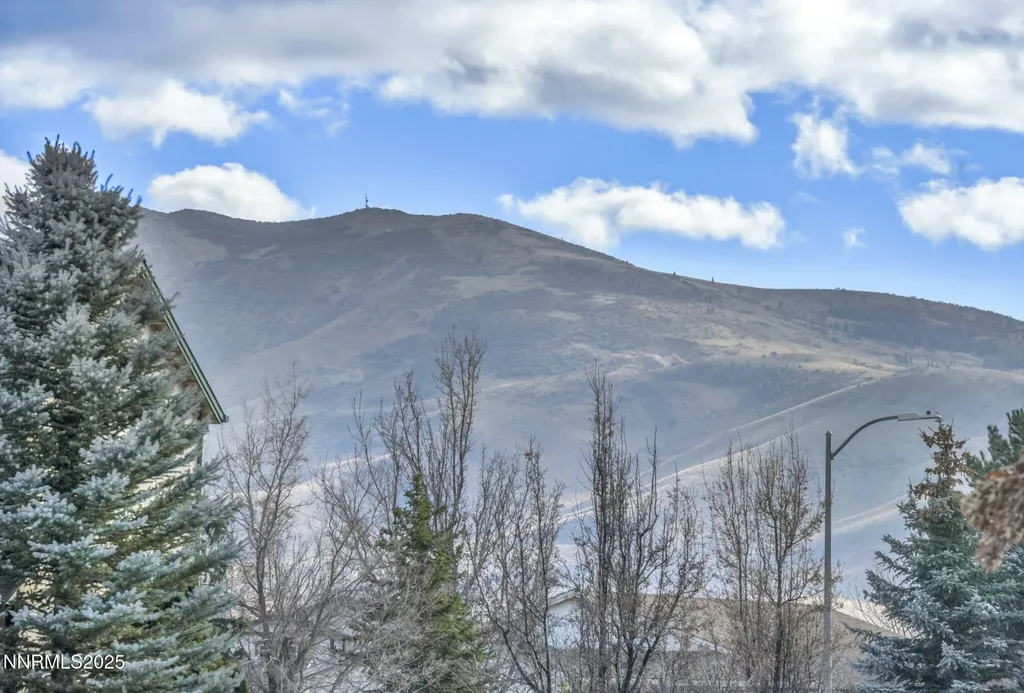18120 Hazelnut Reno NV 89508
