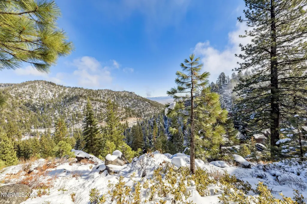 146 Tramway Stateline NV 89449