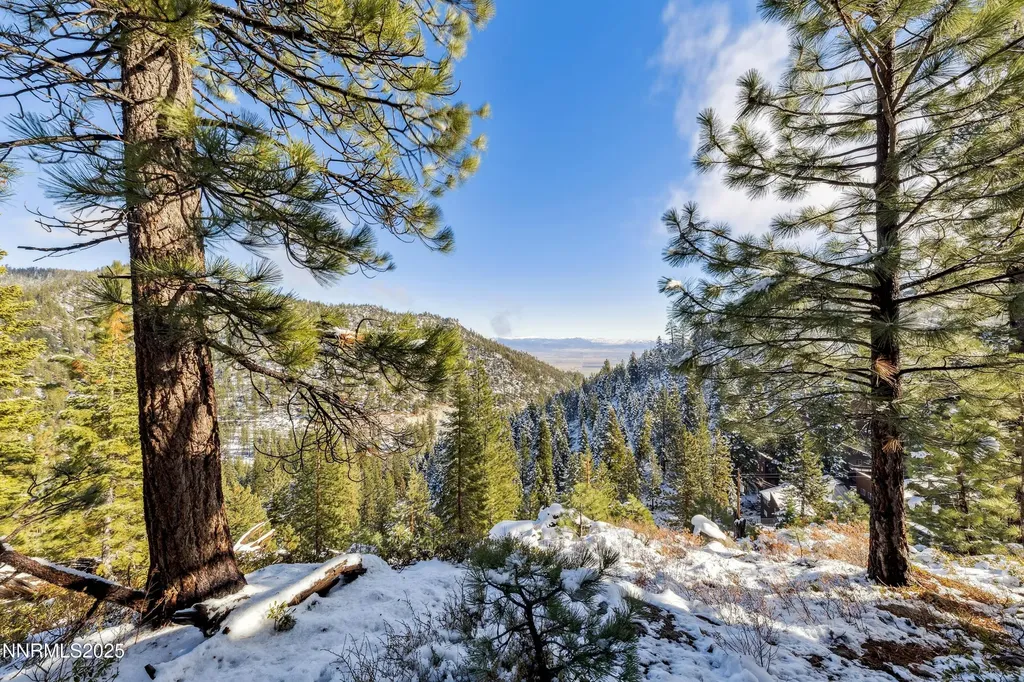 146 Tramway Stateline NV 89449