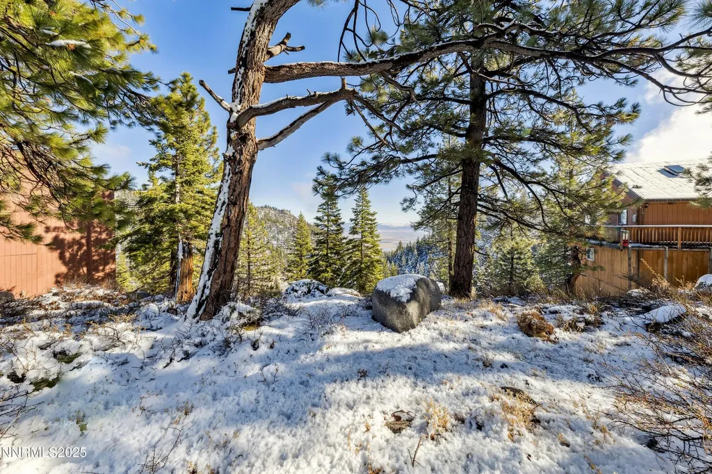 146 Tramway Stateline NV 89449