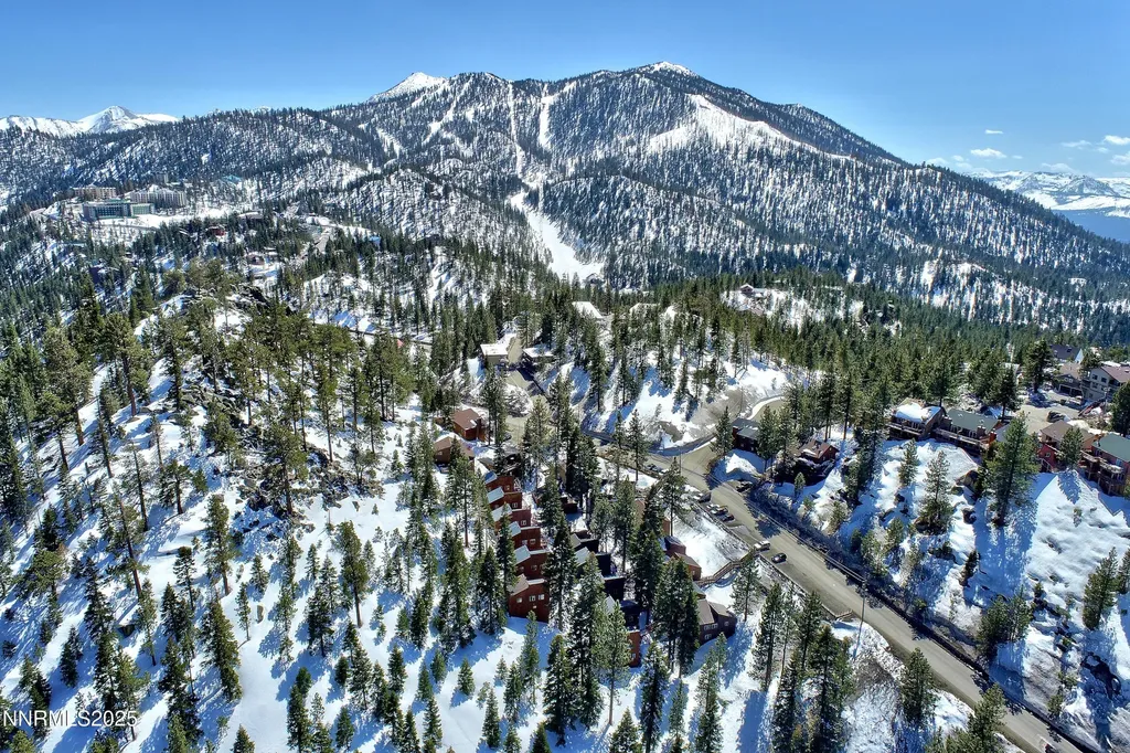 146 Tramway Stateline NV 89449
