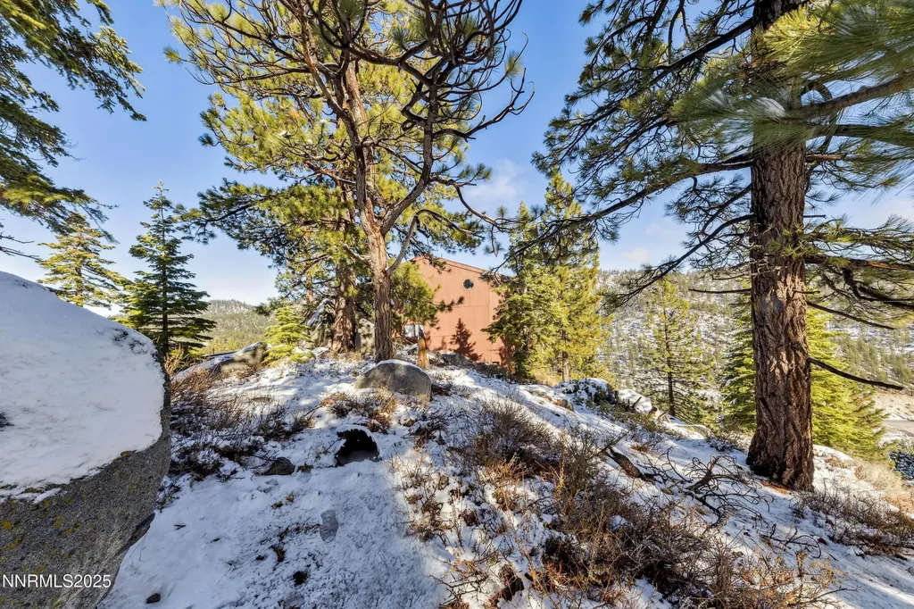 146 Tramway Stateline NV 89449