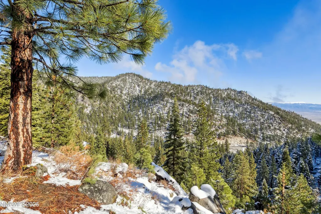 146 Tramway Stateline NV 89449