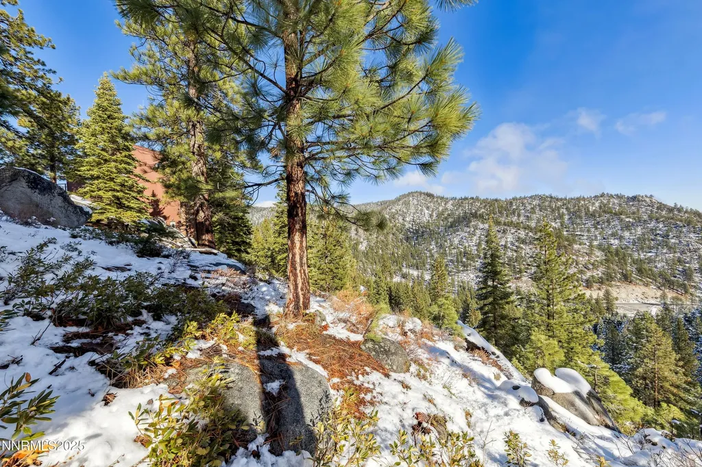 146 Tramway Stateline NV 89449