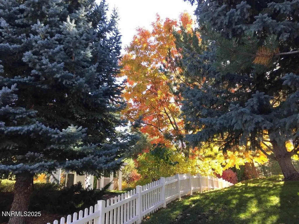 3678 Brighton Reno NV 89509