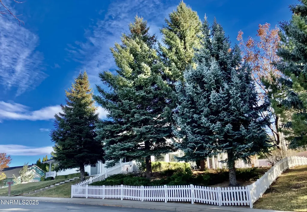 3678 Brighton Reno NV 89509