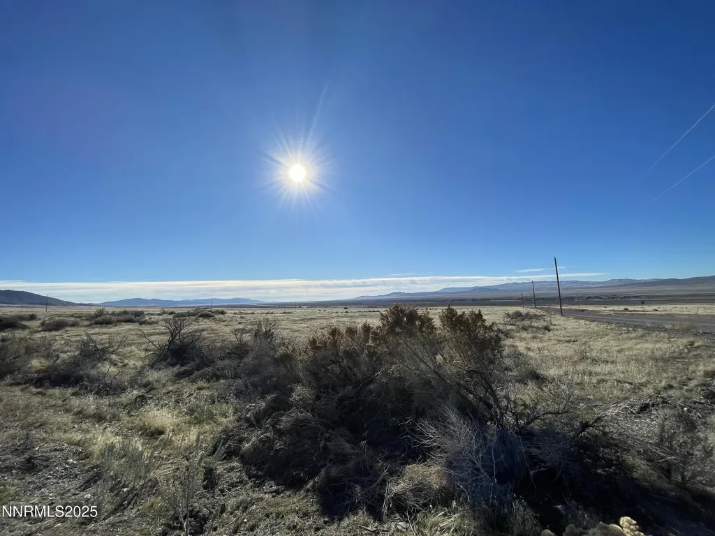 11595 Don Pedro Lovelock NV 89419