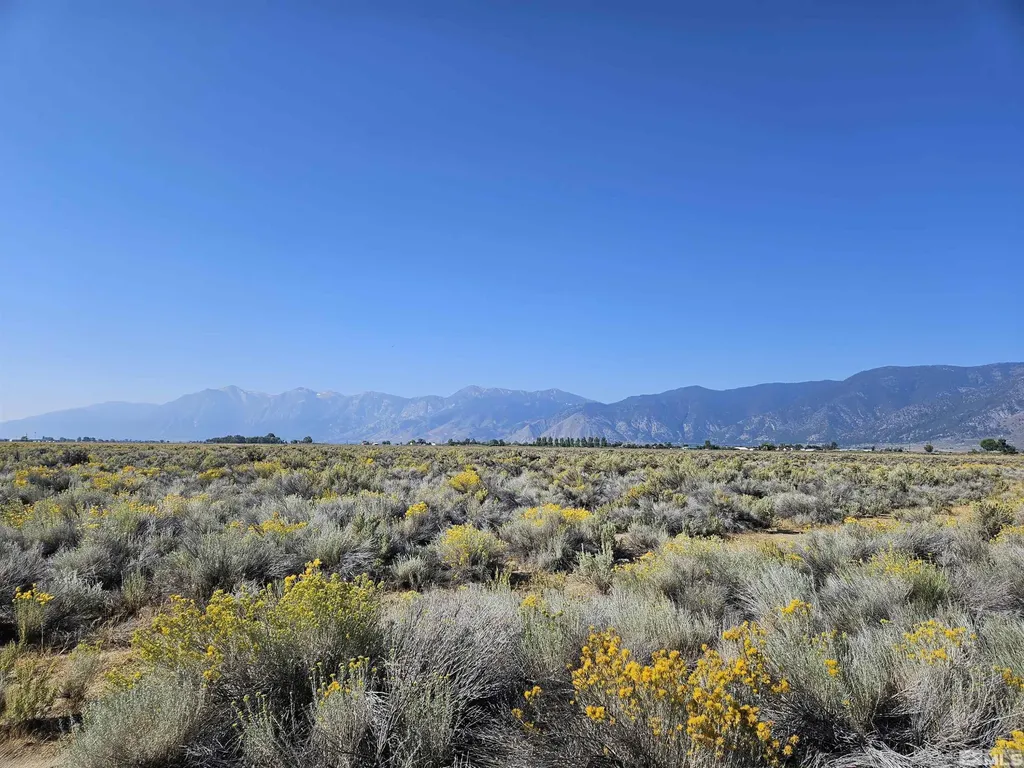 1205 Stephanie Minden NV 89423