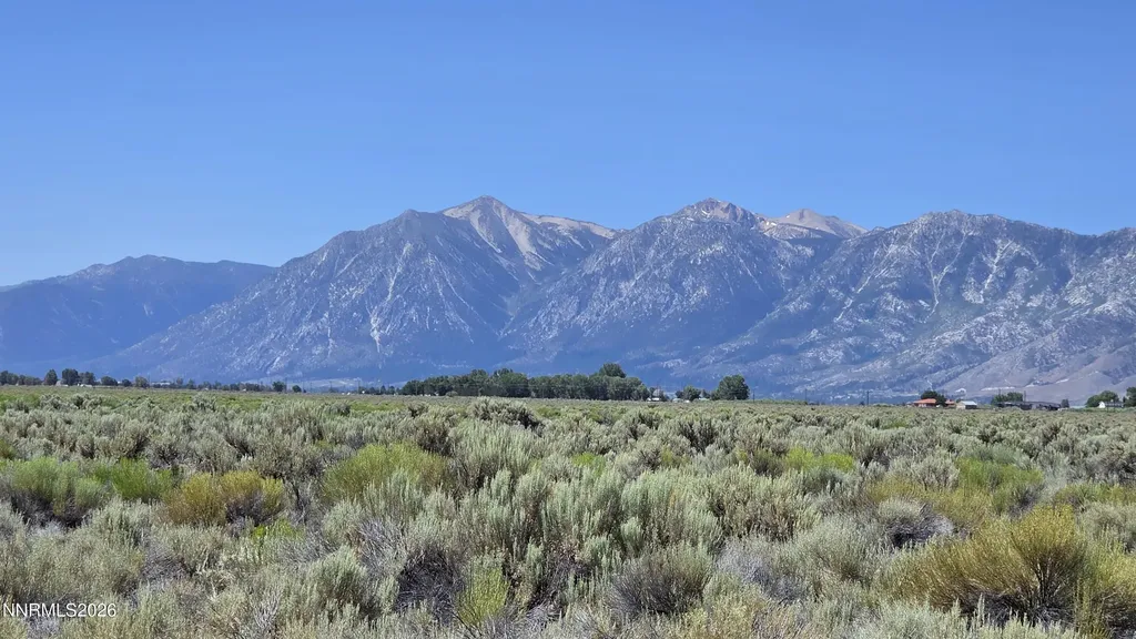 1205 Stephanie Minden NV 89423