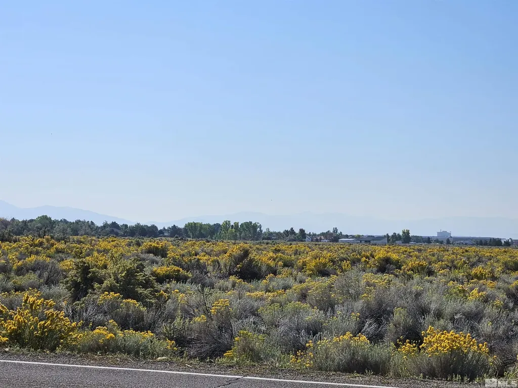 1205 Stephanie Minden NV 89423