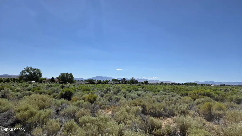 1205 Stephanie Minden NV 89423