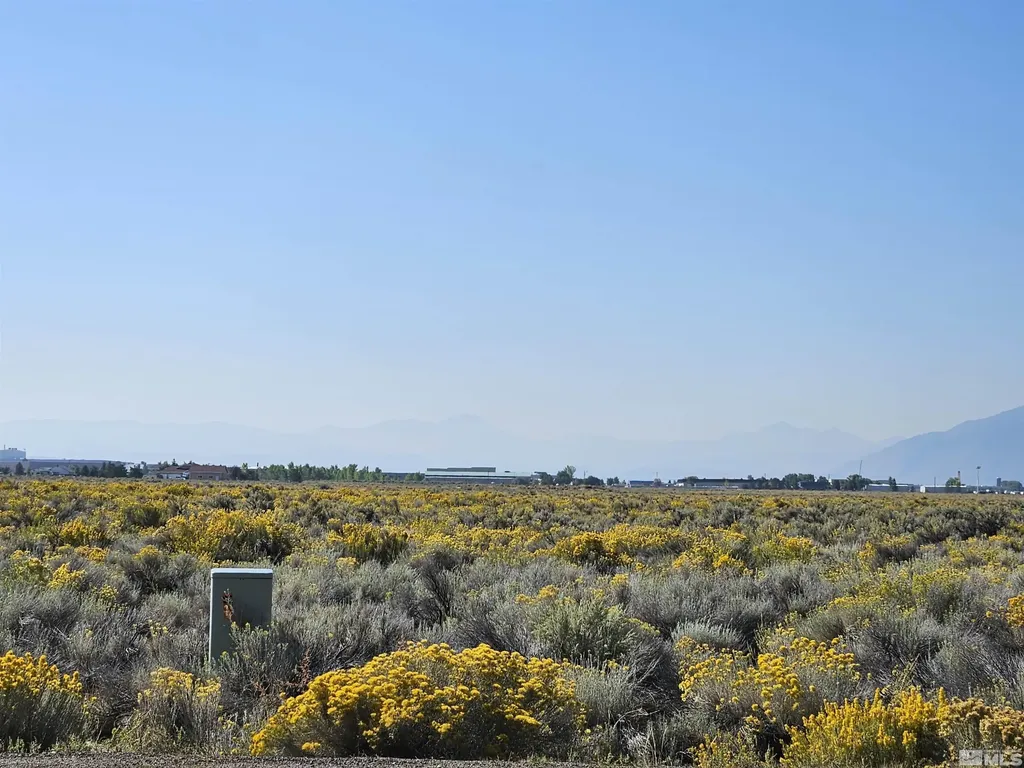 1205 Stephanie Minden NV 89423