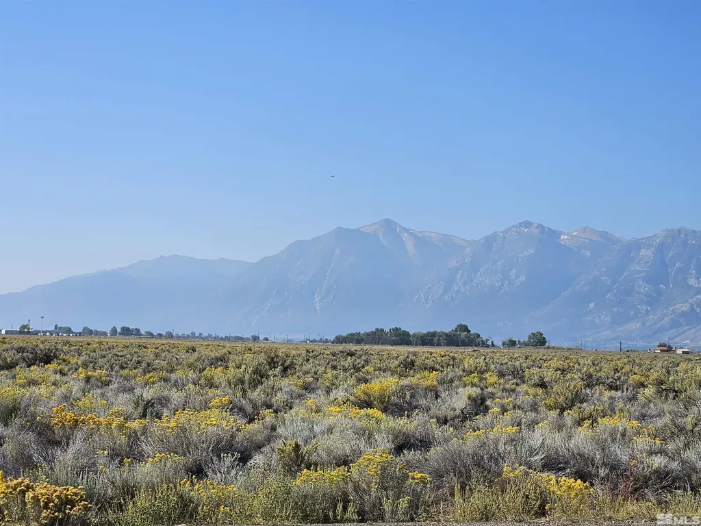 1205 Stephanie Minden NV 89423
