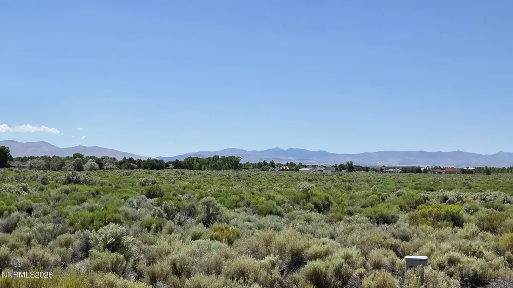 1205 Stephanie Minden NV 89423