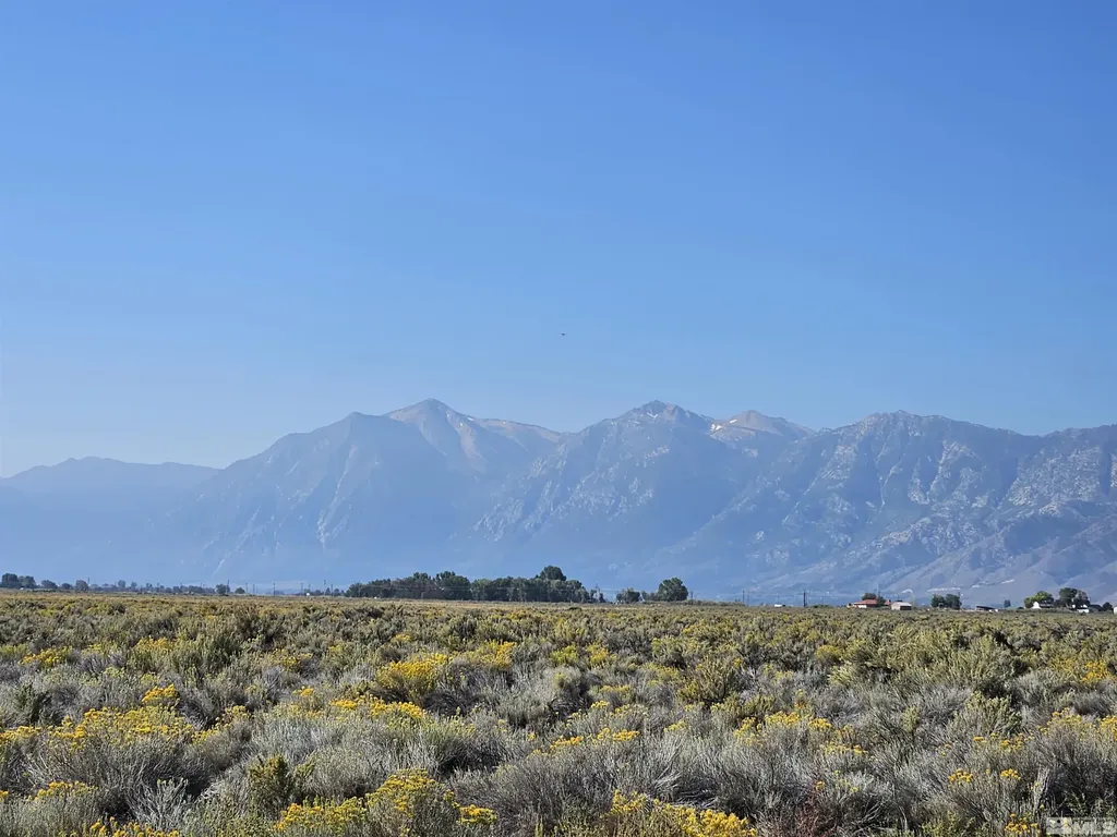 1205 Stephanie Minden NV 89423
