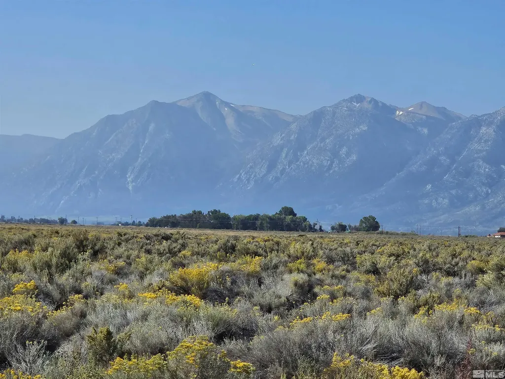 1205 Stephanie Minden NV 89423