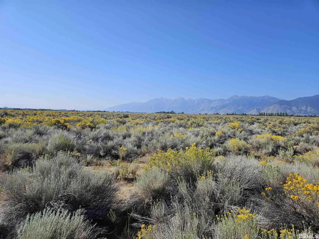 1205 Stephanie Minden NV 89423