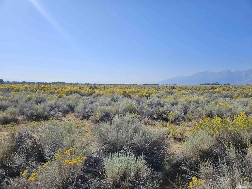 1205 Stephanie Minden NV 89423