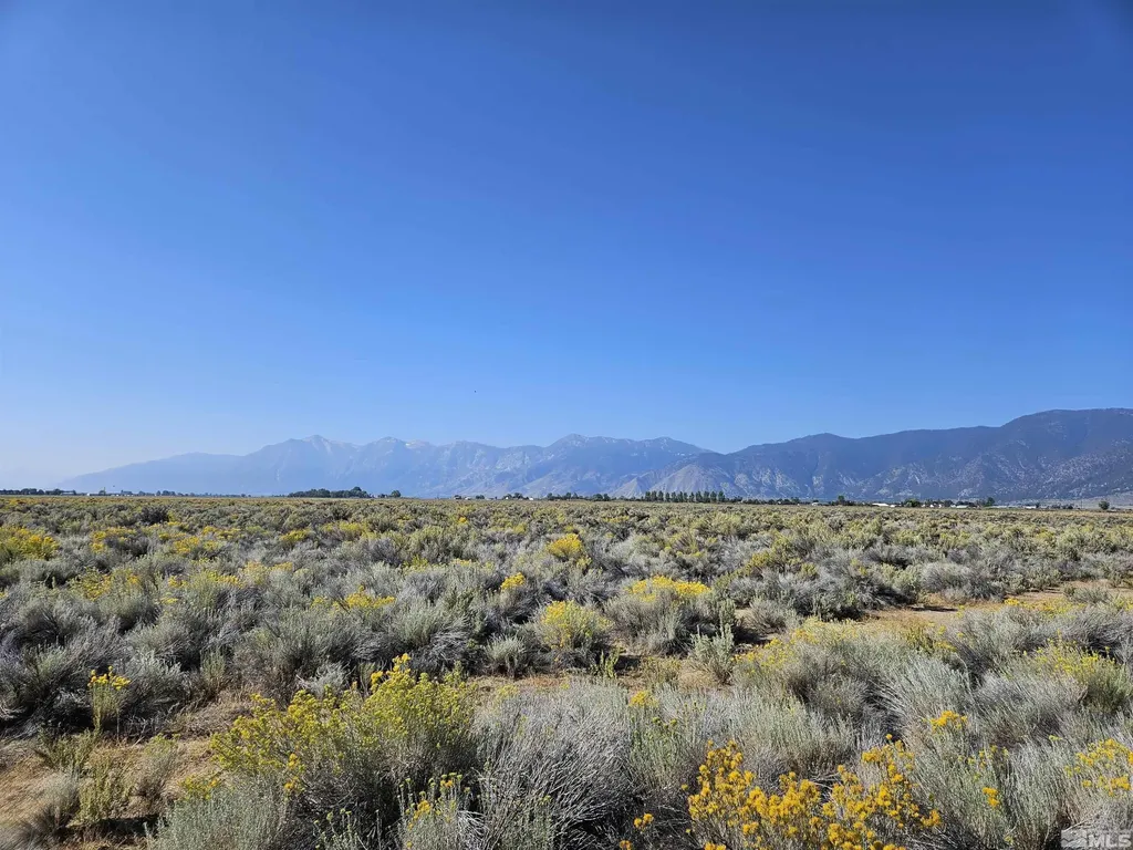 1205 Stephanie Minden NV 89423