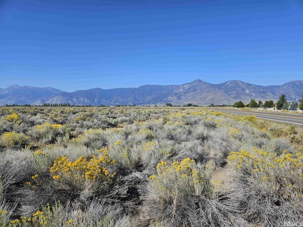 1205 Stephanie Minden NV 89423