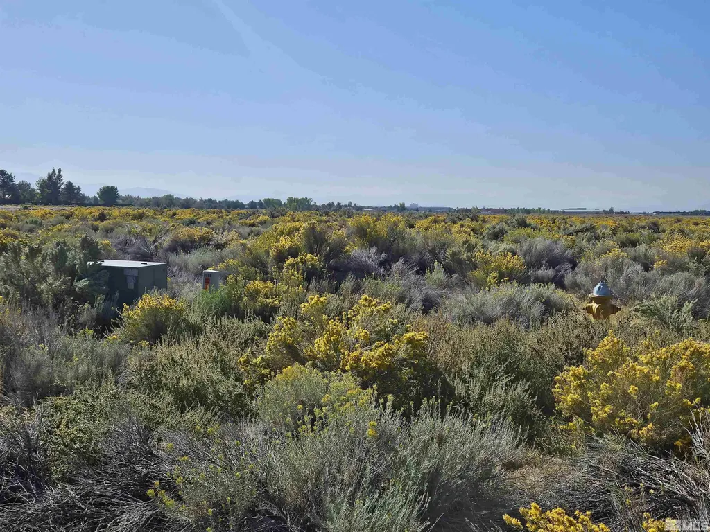 1205 Stephanie Minden NV 89423