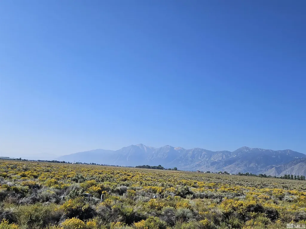 1205 Stephanie Minden NV 89423