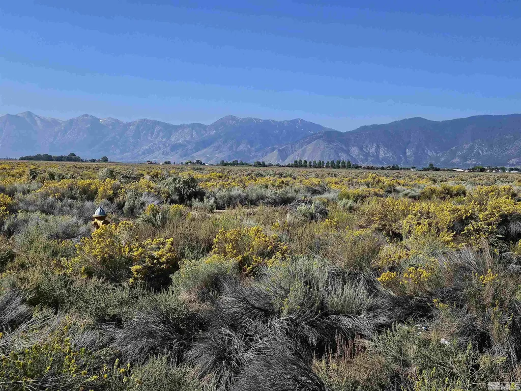 1205 Stephanie Minden NV 89423