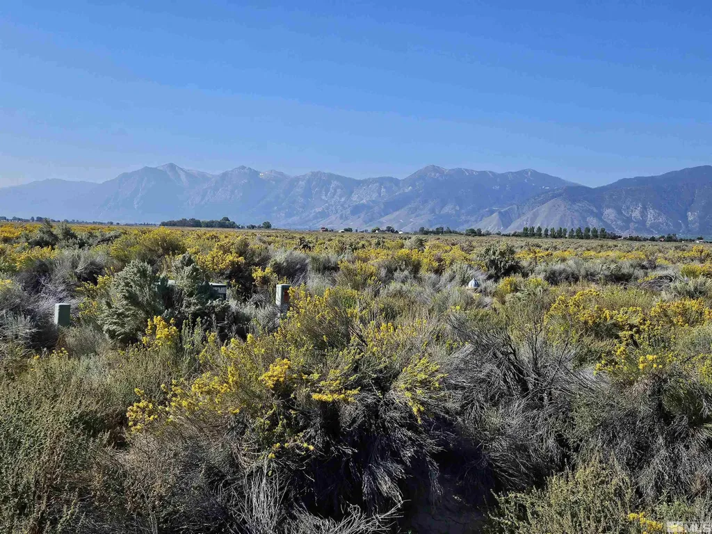 1205 Stephanie Minden NV 89423