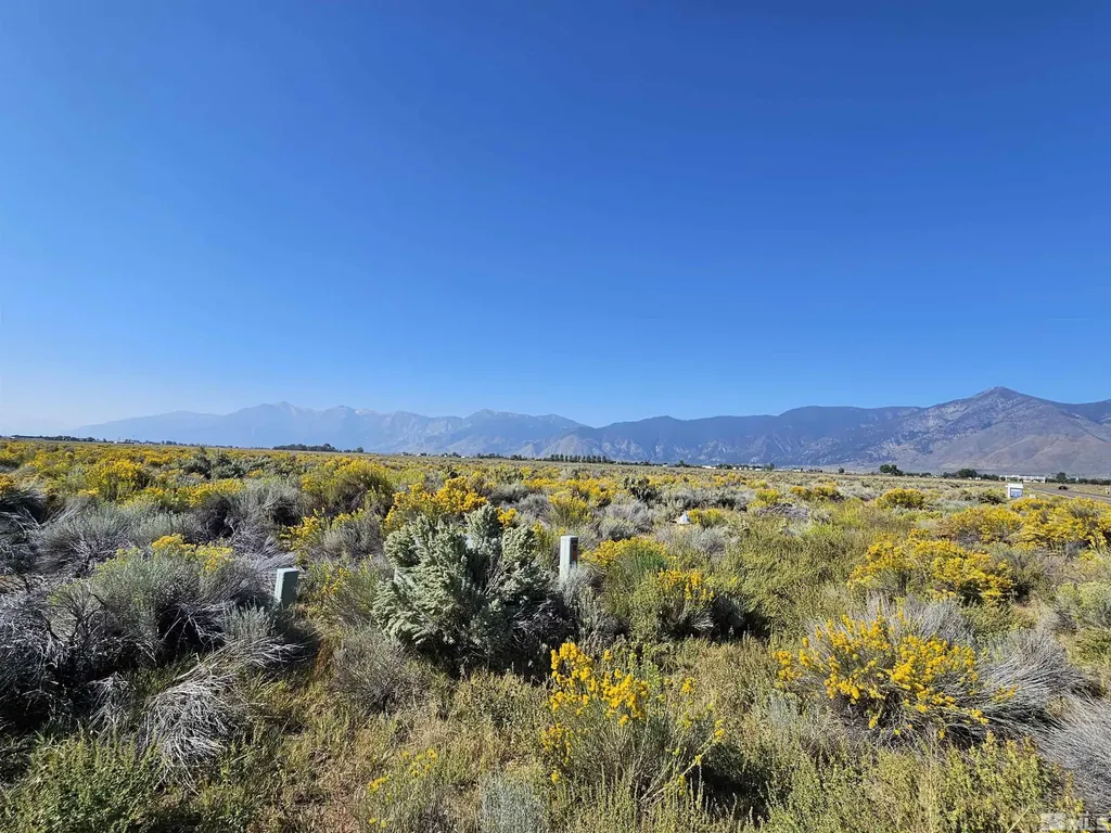 1205 Stephanie Minden NV 89423