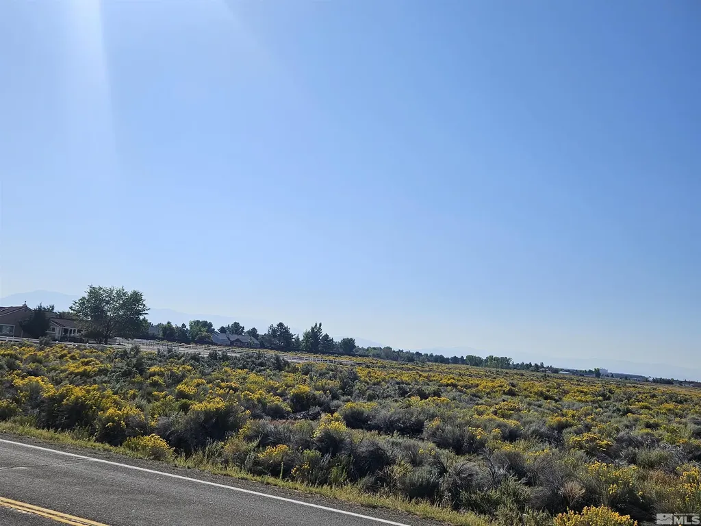 1205 Stephanie Minden NV 89423