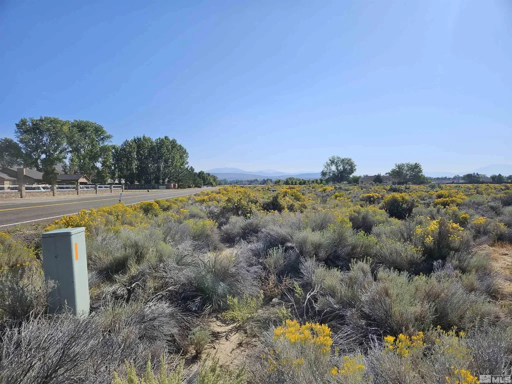 1205 Stephanie Minden NV 89423