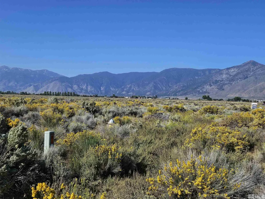 1205 Stephanie Minden NV 89423