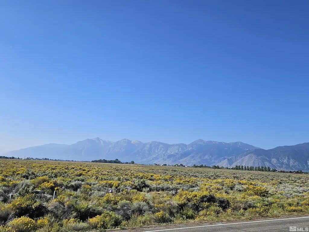 1205 Stephanie Minden NV 89423