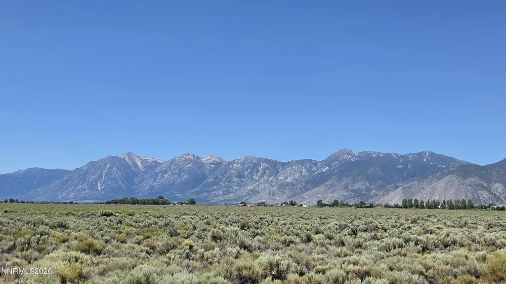 1205 Stephanie Minden NV 89423