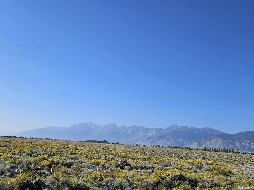 1205 Stephanie Minden NV 89423