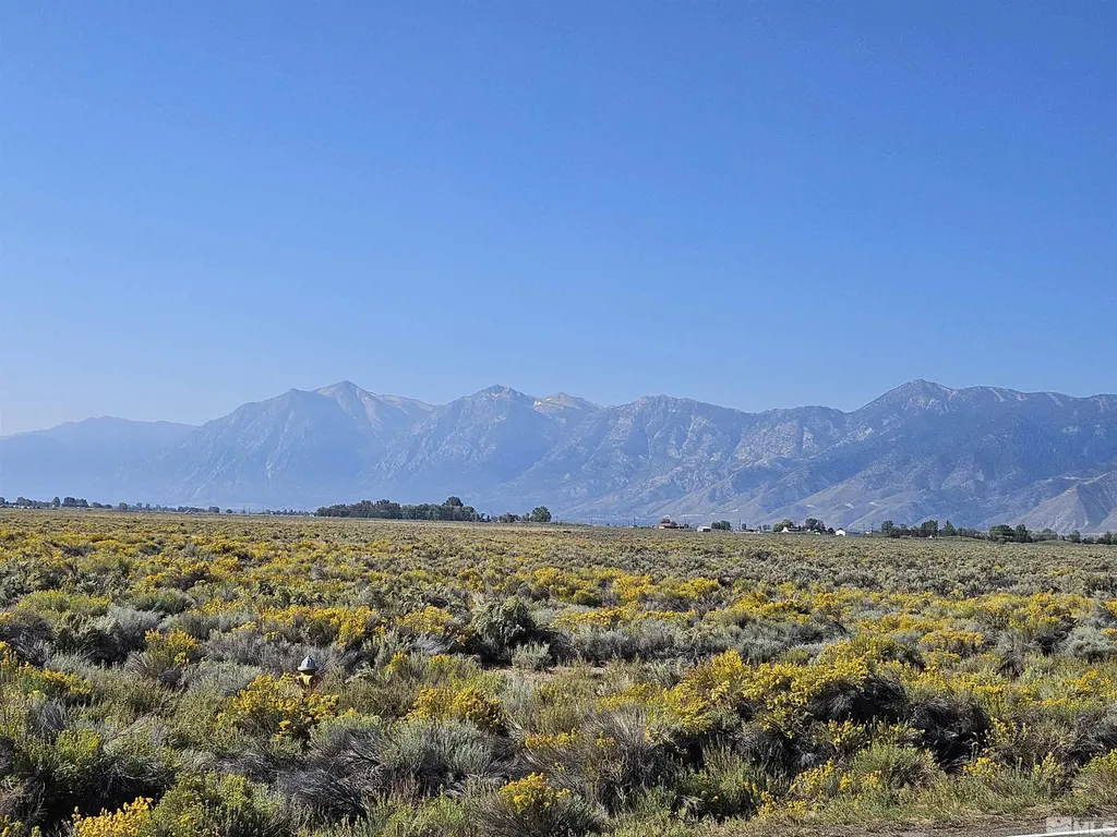 1205 Stephanie Minden NV 89423
