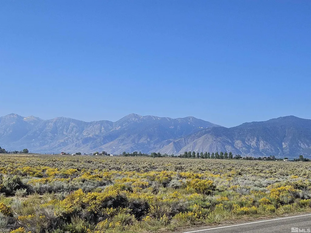 1205 Stephanie Minden NV 89423